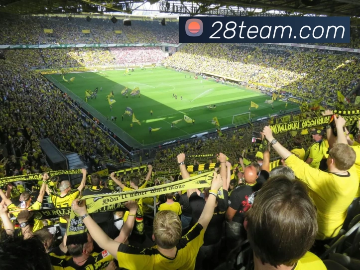 28圈官网APP 体育赛事宣传图